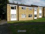 Thumbnail to rent in Millwards, Hatfield