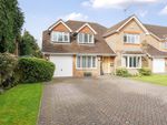 Thumbnail to rent in Ripley, Surrey