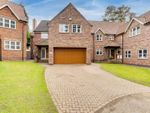 Thumbnail for sale in Tamarix Close, Gedling, Nottinghamshire