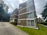 Thumbnail to rent in Cedar Court, Haslemere