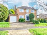 Thumbnail to rent in Fern Road, St. Leonards-On-Sea