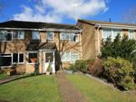 Thumbnail to rent in Millholme Walk, Camberley, Surrey