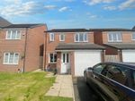 Thumbnail to rent in Ford Crescent, Amble, Morpeth