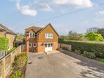 Thumbnail for sale in Meadow Close, Milford, Godalming