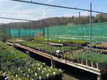 Thumbnail for sale in Plant Nursery And Retail Shop NG4, Gedling, Nottinghamshire