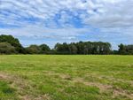 Thumbnail for sale in Kings Lane, Coldwaltham, Pulborough