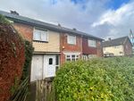 Thumbnail to rent in Grantham Green, Middlesbrough
