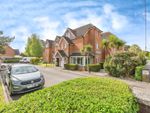 Thumbnail for sale in Heathlands Court, Southampton