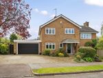 Thumbnail for sale in The Bury, Pavenham, Bedford