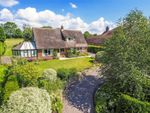 Thumbnail for sale in Cooks Lane, Walderton, Chichester, West Sussex