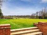 Thumbnail for sale in Horsham Road, Rudgwick, Horsham, West Sussex