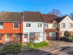 Thumbnail to rent in Grenehurst Way, Petersfield, Hampshire