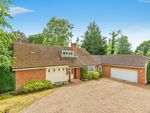 Thumbnail to rent in Forest Road, Pyrford, Surrey