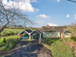 Thumbnail for sale in Summerland, Radway Road, Nunnington, Hereford