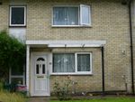 Thumbnail to rent in Willow Way, Hatfield