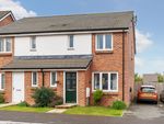 Thumbnail to rent in Sweet Chestnut, Cranbrook, Exeter
