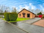 Thumbnail to rent in Mcewans Way, Stonehouse, Larkhall