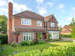 Thumbnail to rent in Swallow Grove, Cranleigh