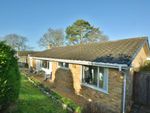 Thumbnail to rent in Central Avenue, Corfe Mullen