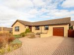 Thumbnail to rent in Westfield Loan, Forfar, Angus