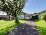 Thumbnail to rent in Sycamore Close, Eastbourne, East Sussex