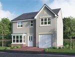 Thumbnail to rent in "Maplewood" at Calender Avenue, Kirkcaldy
