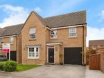 Thumbnail to rent in Newman Avenue, Beverley