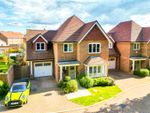 Thumbnail to rent in Sycamore Road, Cranleigh, Surrey