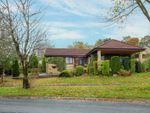 Thumbnail for sale in Detached Bungalow, Grangewood, Bromley Cross, Bolton