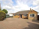 Thumbnail to rent in South Avenue, Elstow, Bedford, Bedfordshire