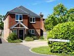 Thumbnail for sale in Walnut Close, Burgess Hill