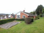 Thumbnail for sale in Sandhurst Grove, Wordsley, Stourbridge