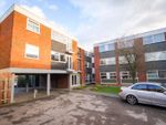 Thumbnail for sale in Ardleigh Court, Shenfield, Brentwood