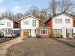 Thumbnail for sale in Lugtrout Lane, Solihull, West Midlands