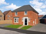 Thumbnail to rent in "Kirkdale" at Clayson Road, Overstone, Northampton