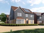 Thumbnail to rent in "The Maple" at Hadham Road, Bishop's Stortford