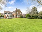 Thumbnail to rent in The Lye, Little Gaddesden, Berkhamsted, Hertfordshire