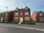 Thumbnail to rent in Castor Way, Stockton-On-Tees