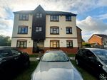 Thumbnail to rent in Elderberry Gardens, Witham