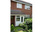 Thumbnail to rent in Forest Road, Colchester