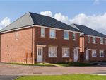 Thumbnail to rent in "Harrison" at Rectory Road, Sutton Coldfield
