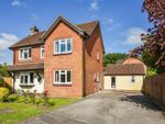 Thumbnail to rent in Benedict Close, Halterworth, Romsey, Hampshire