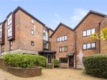 Thumbnail to rent in Bilberry Court, Staple Gardens, Winchester
