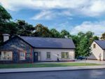 Thumbnail to rent in The Oak, Gortnessy Meadows, Londonderry