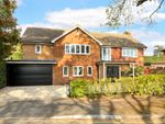 Thumbnail for sale in Saxonbury Gardens, Long Ditton, Surbiton