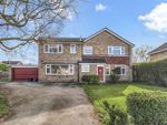 Thumbnail to rent in Derwent Park, Wheldrake, York