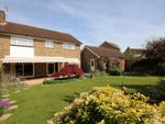 Thumbnail for sale in Oaklands, Fetcham