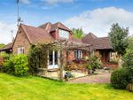 Thumbnail to rent in Bridge Road, Cranleigh, Surrey