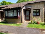 Thumbnail for sale in Baden Close, New Milton, Hampshire