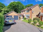 Thumbnail for sale in Forest Oak Drive, New Milton, Hampshire